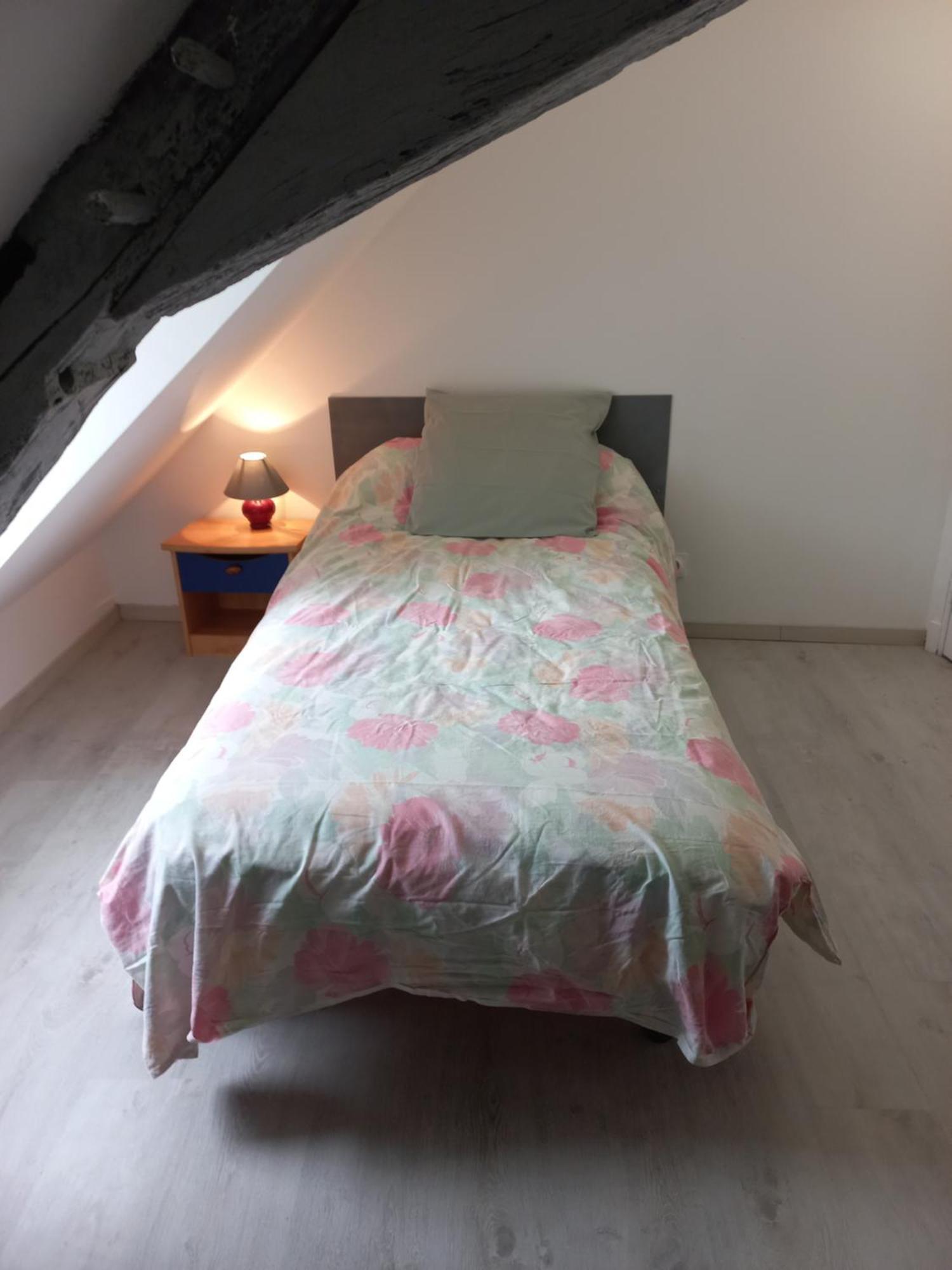Agreable Maison De Ville Au Coeur De チノン エクステリア 写真